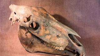 What Archaeology can tell us about climate change.