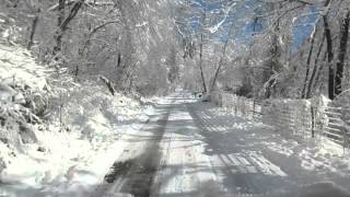 Driving In Snow, Dogs Running Along