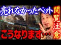 【ひろゆき】あなたがペットショップでペットを買えばこのような犠牲動物が増え続けることを覚えておいて下さい【 切り抜き 2ちゃんねる 思考 論破 kirinuki きりぬき hiroyuki】