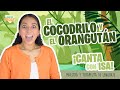 Canta con isa  el cocodrilo y  el orangutn  cancin infantil  aprende peque