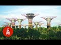 Visit Singapore's Stunning Grove of Man-Made Trees