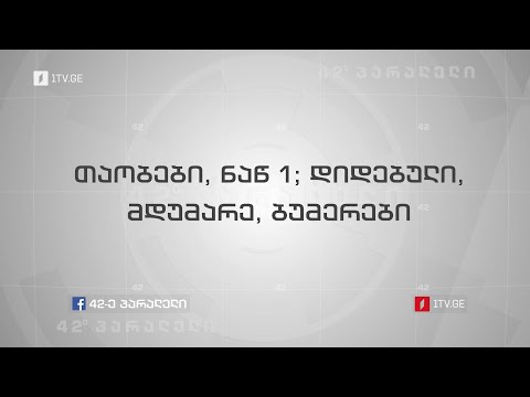 თაობები,  ნაწილი 1; დიდებული, მდუმარე და ბუმერები
