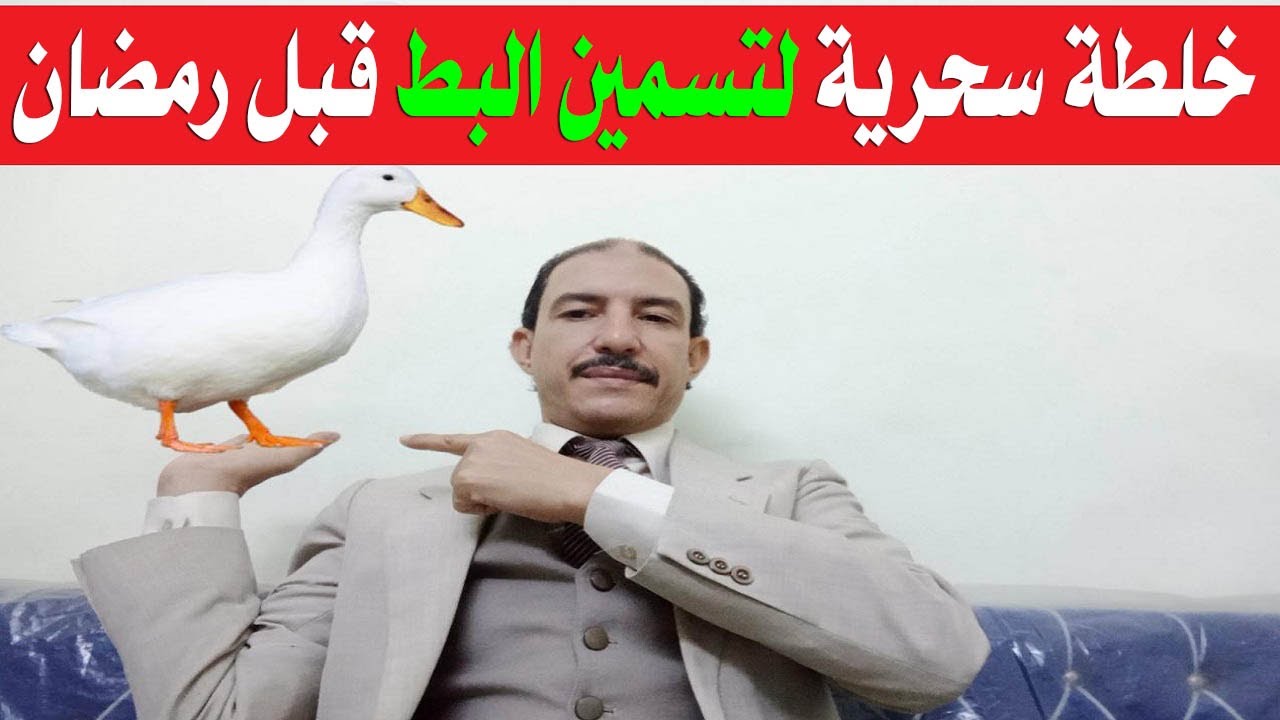 أفضل طرق تسمين البط بسرعة لشهر رمضان- أسرار لم تسمع بها من قبل! 🦆