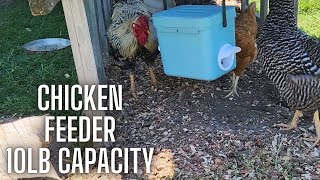 Hanging Chicken Feeder with 3 Ports