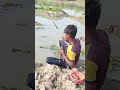 Hook Fishing Techniques in Village River #fishing #shorts #hookfishing #fish #amazinghookfishing