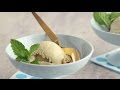 Homemade Mint Ice Cream - Martha Stewart