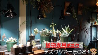 植物系YouTuberのデスクツアー2021.9【使っているものを全てご紹介】