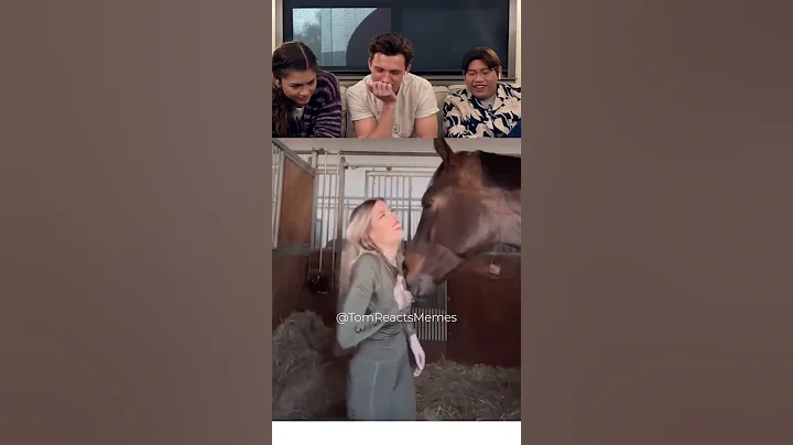 Tom Holland react try not to laugh part 47 #tomholland #trynottolaugh #funny #reaction