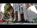 Rockefeller Christmas Tree Makes Big City Debut in Midtown | NBC New York