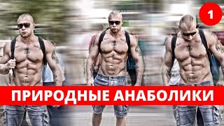 Природные анаболики. Урок 1 - что понижает тестостерон?! Природные анаболики. Урок 1 - что понижает тестостерон?!