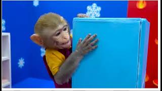 Baby Monkey KiKi go buy toilet paper and eat yummy fruits with puppy & duckling3