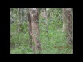 Teak wood for sale Teak wood for sale