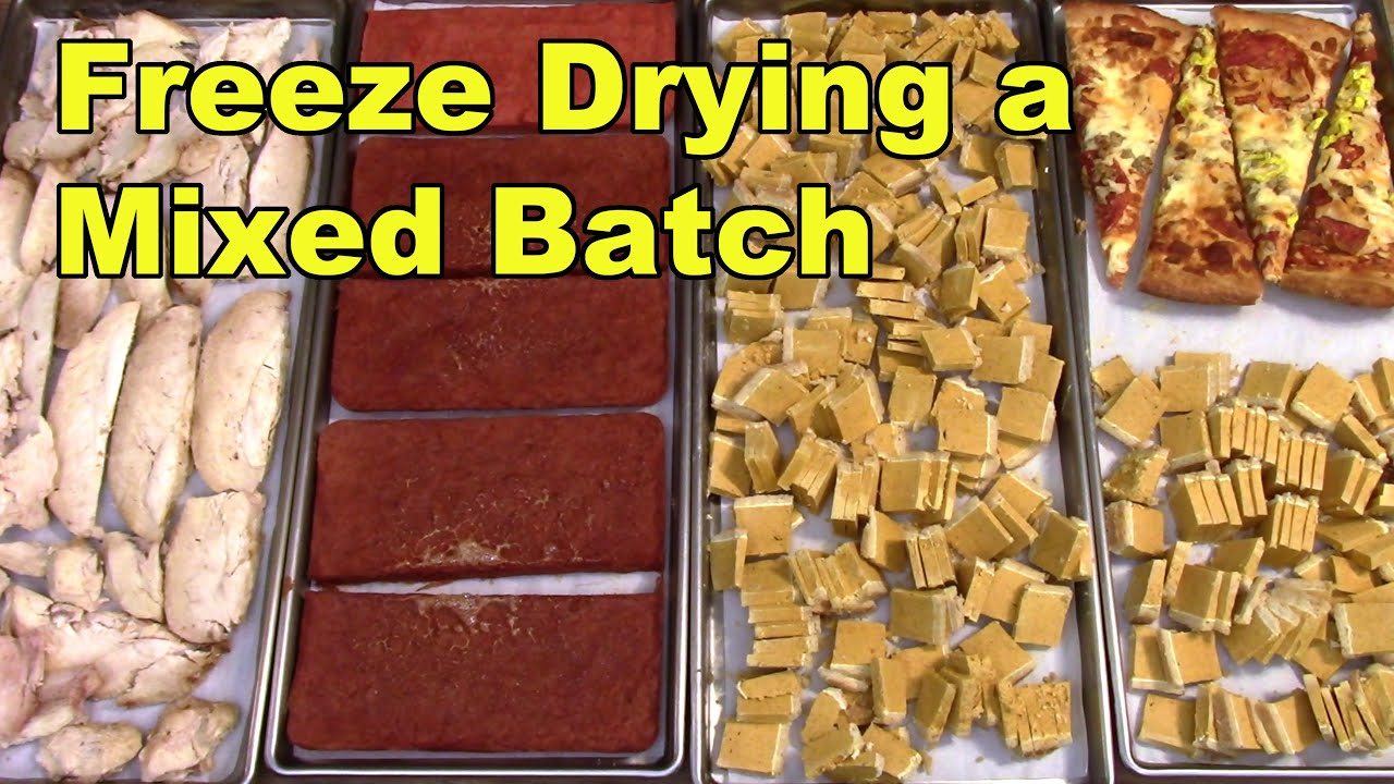 Freeze Drying a Very Mixed Batch