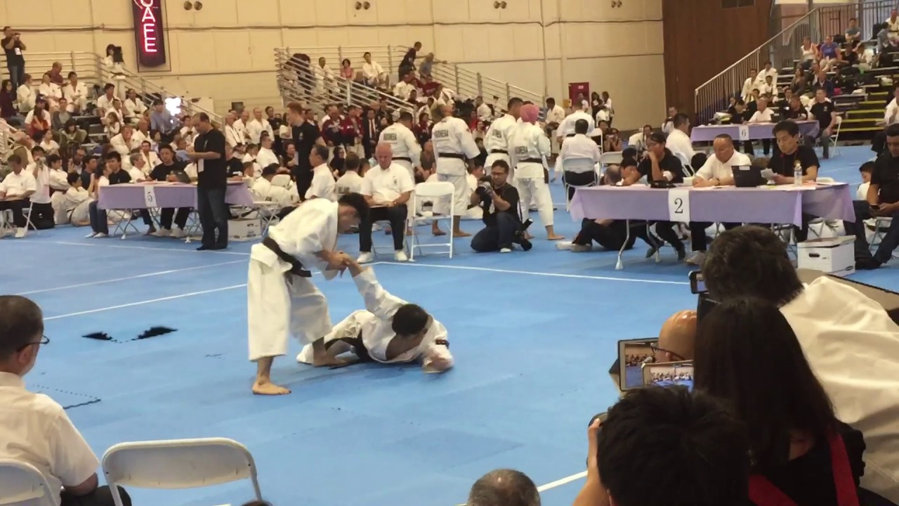 少林寺拳法2017世界大会 川岛 小泽 一位