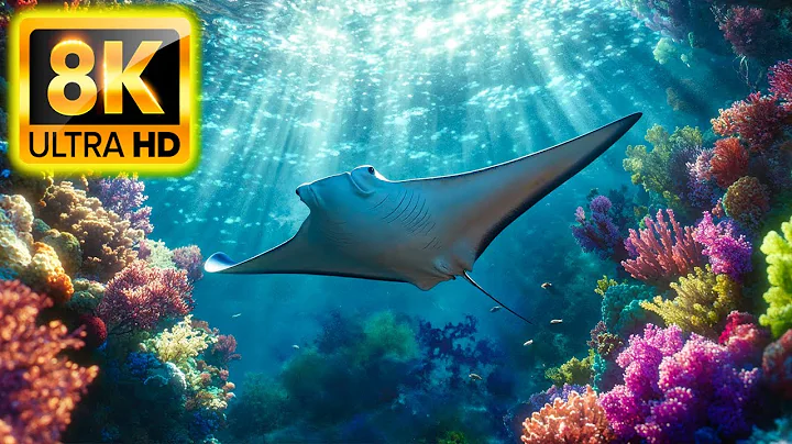 Underwater World 8K ULTRA HD – Marine Life, Sea Animals and Coral Reef 8K #8K #ANIMAL #OCEAN thumbnail