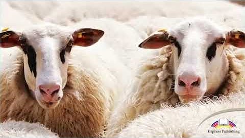 Action 10  Module 2  Water, water everywhere p 24