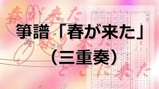 箏譜 春が来た(三重奏)+おまけで二重奏とソロも!