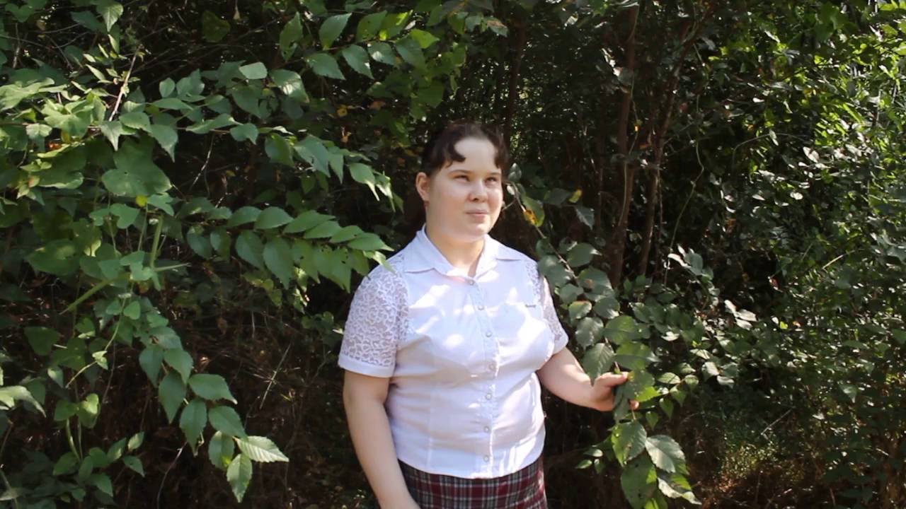 Тимко Анастасия читает стихотворение И.А. Бунина "Чем жарче день, тем ...