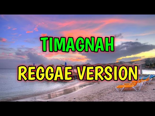 TIMAGNAH - REGGAE REMIX [[ DJ SOYMIX ]] class=