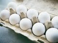 Специалисты рассказали, почему нельзя мыть сырые яйца перед приготовлением