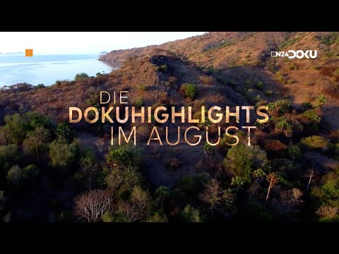 Wir lassen uns faszinieren | Doku-Highlights im August 2021
