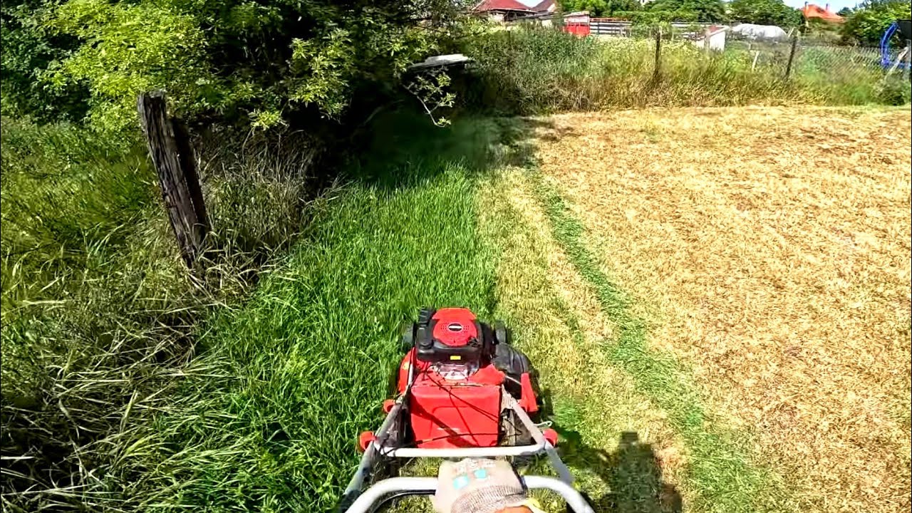 POV: This Grass Took Hours to Cut… But OMG the Result!