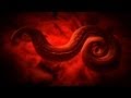 Rat Lung Worm Disease - Monsters Inside Me Ep8