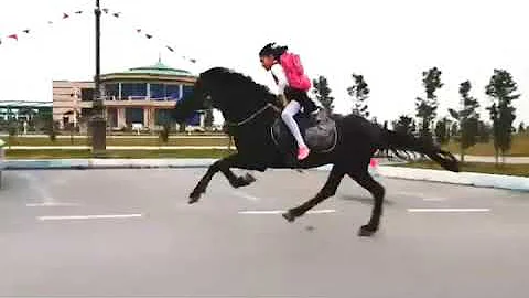 Ata binen AZERBAYCAN TRK  kz glay maallah