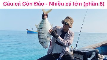 Câu cá Côn Đảo - Nhiều cá lớn (phần 8)