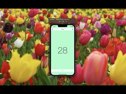 Timer | IOS & Swift