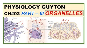 Chp#2(Part-III) Guyton Physio | Organelles | Cell & Its Functions | Guyton Physiology