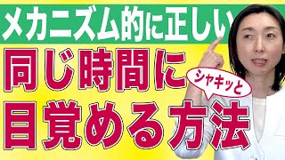 【早起き コツ】早起きのコツは食事にあった！これで毎日同じ時間にシャキッと目覚めます！