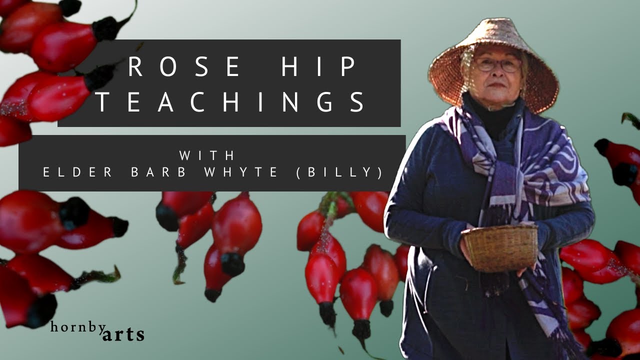 Rose Hip teachings from Elder Barb Whyte