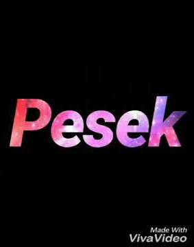 Status WA keren #vivavideo