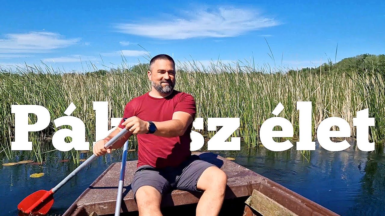 PÁKÁSZ élet a Tisza tavon | Tiszavirág tanösvény | Fedezzük fel a Tisza-tó rejtett kincseit - 2 rész
