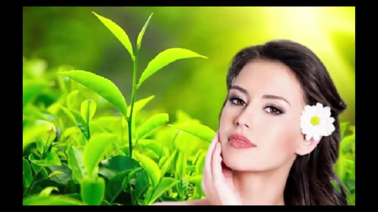 Top 10 thực phẩm tốt cho XƯƠNG KHỚP mà mọi người nên biết - Nhận dạng cây thuốc