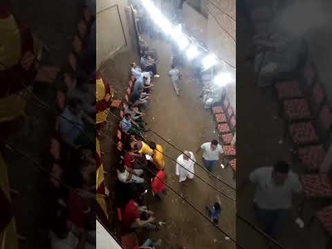 أفراح طوخ طنبشا