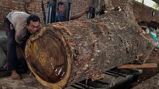 The greatness of the workers in cutting giant rain tree wood very skillfully, Smart workers!!