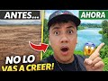 Así luce actualmente la presa del palote en león guanajuato