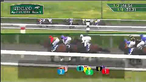 Coolmore Lexington S. (Grade III) 2012