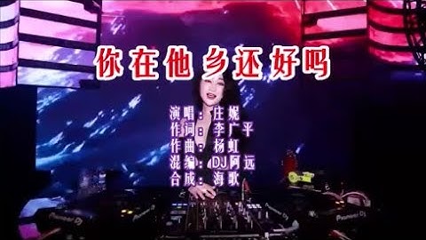 庄妮 《你在他乡还好吗 （DJ阿远版）》 KTV 导唱字幕 （备有伴奏视频）