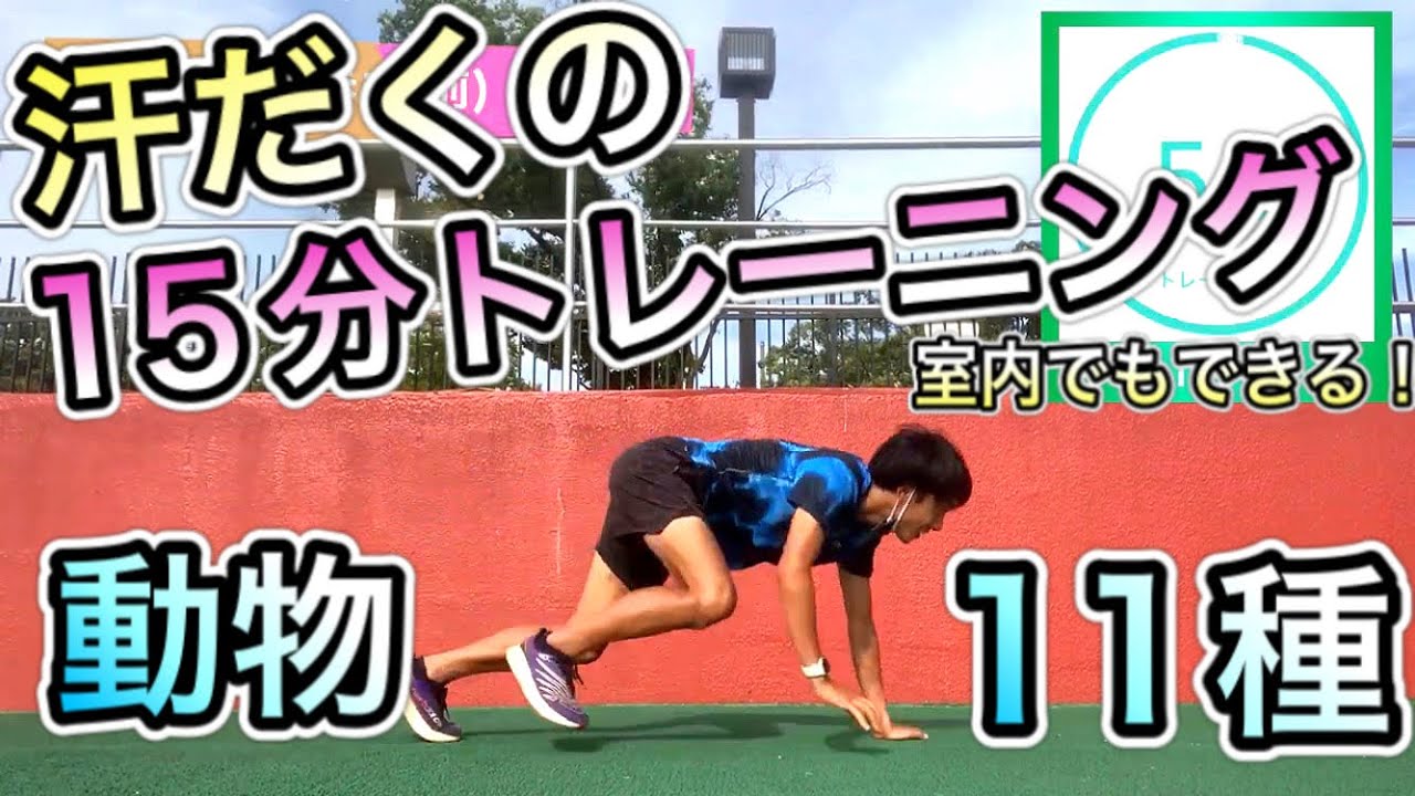 【体幹トレーニング15分】動物の動き11種類〜室内でできる汗だくトレーニング〜