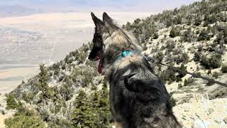 Big Bear Mine Adventure 