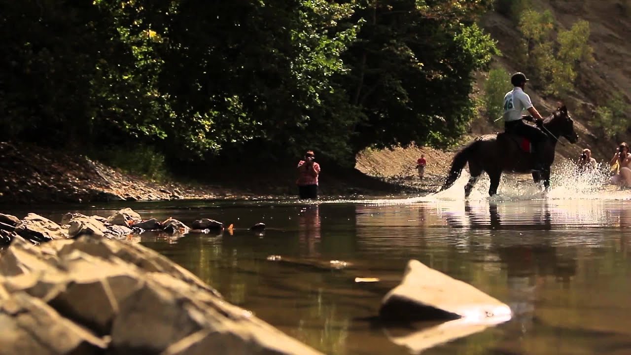 XIII Pożegnanie wakacji w Rudawce Rymanowskiej