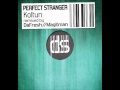 Perfect stranger  koltun magitman remix digital structures