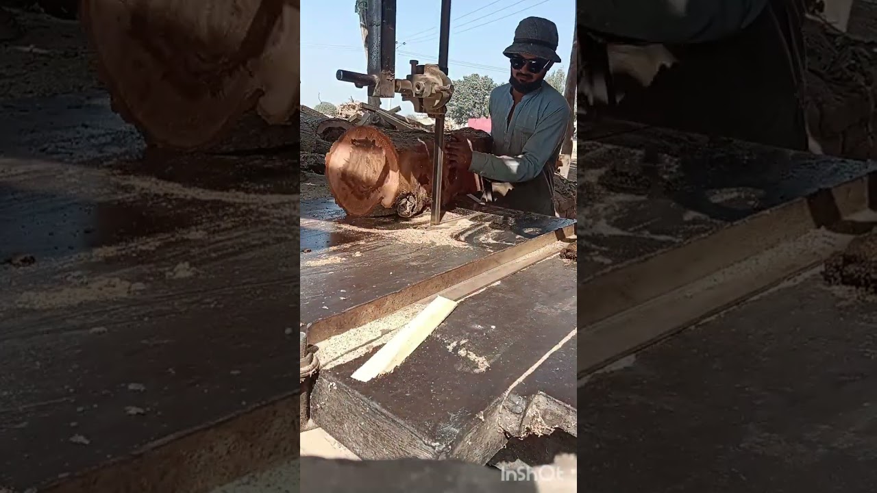 Wod Cutting#Extreme🪵🪓🪚🔥Satisfying Tree Cutting Moments 🌳Bandsaw Machine in Full Action!Don’t Blink 👀