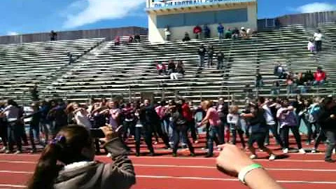 Joe Walker Relay For Life Flash Mob