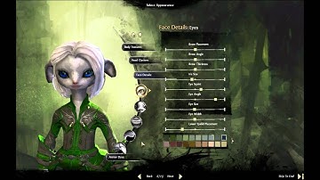 Guild Wars 2 Beta - Asura Character Creation