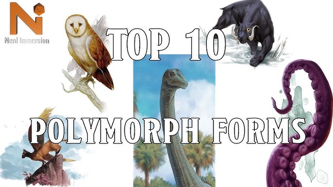 D&D 5E Advanced guide to Polymorph 