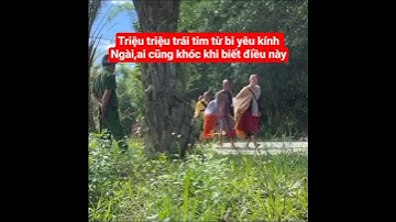 triệu triệu trái tim từ bi yêu kính Ngài,ai cũng khóc#suminhtue #shortvideo